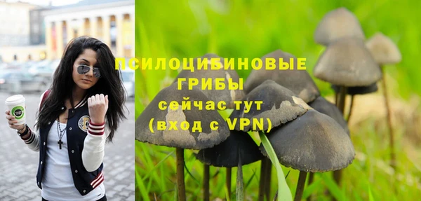 mdpv Арсеньев